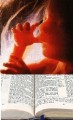 Abortion, God, America, and You (1 CD)